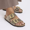 Birk Sydney Luxe Buckle- Taupe